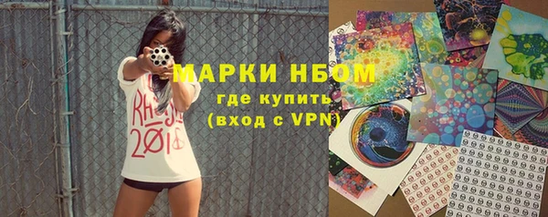 хмурый Аркадак
