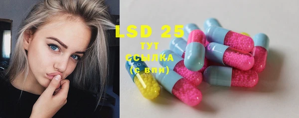 ECSTASY Алзамай