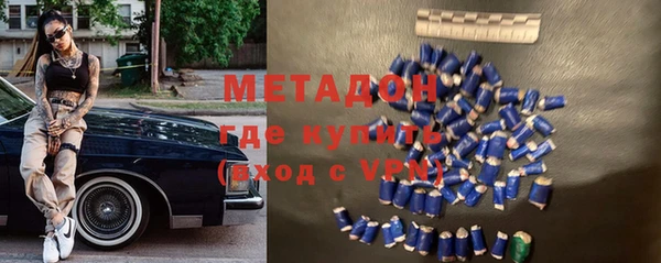 хмурый Аркадак
