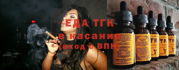 хмурый Аркадак