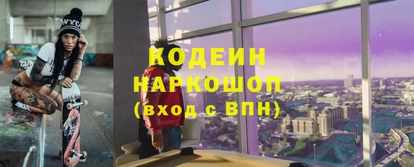 хмурый Аркадак