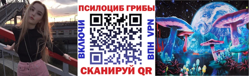 что такое   Татарск  Псилоцибиновые грибы Cubensis 